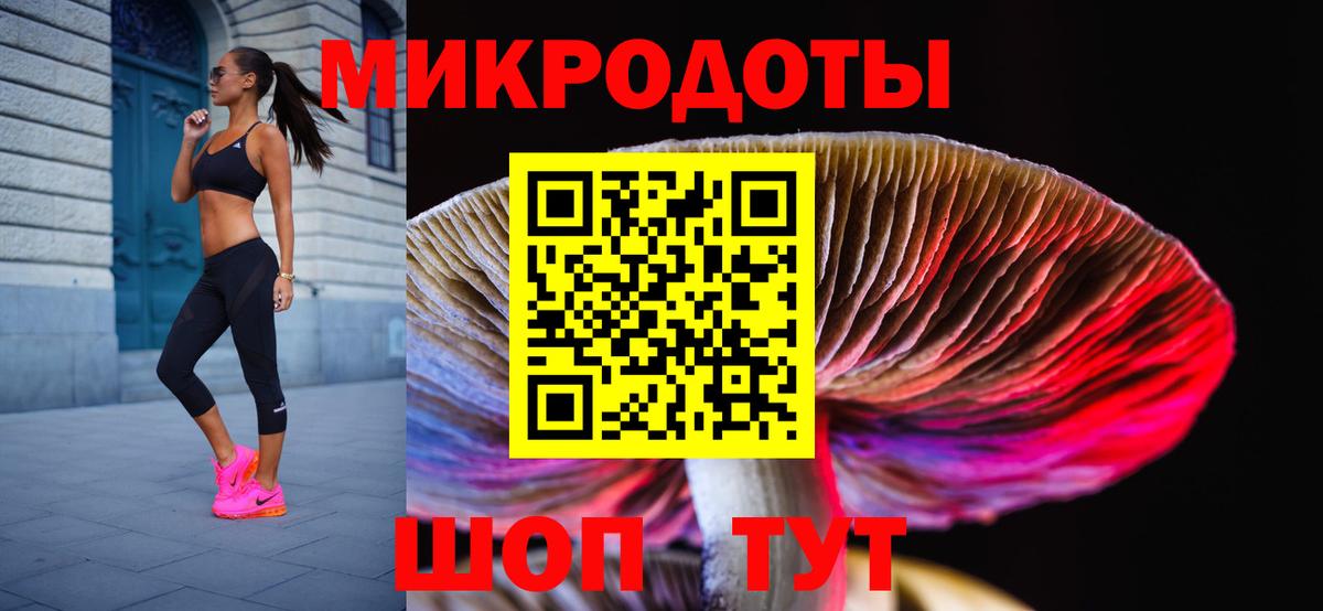 Галлюциногенные грибы Psilocybe Жуковский